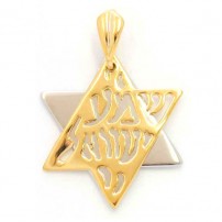 Gold Filled Shema Two Color Star of David Pendant